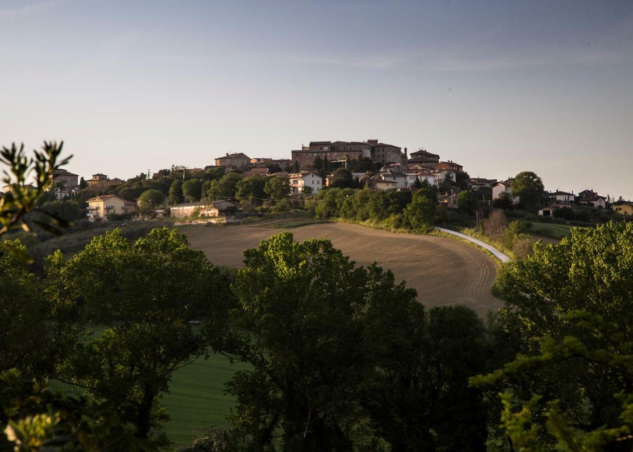 Grande Villa Storica Per Vacanze Con Giardino Privato E Piscina Ostra エクステリア 写真