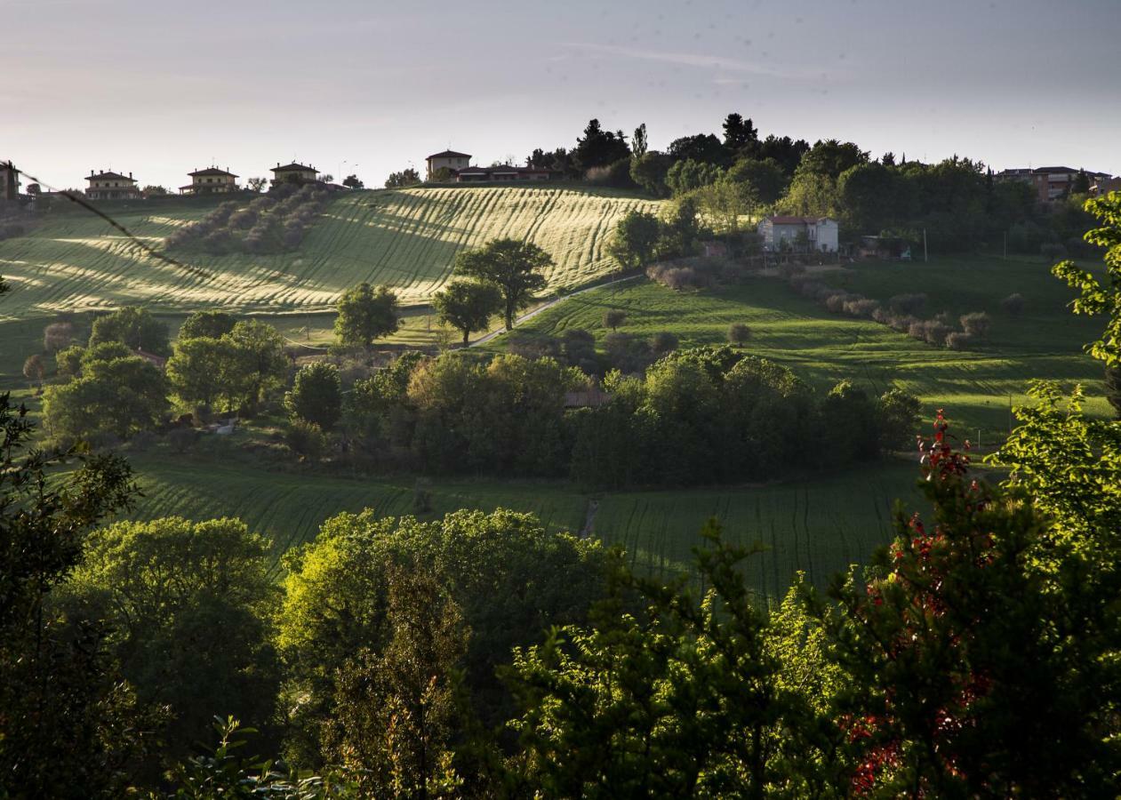 Grande Villa Storica Per Vacanze Con Giardino Privato E Piscina Ostra エクステリア 写真