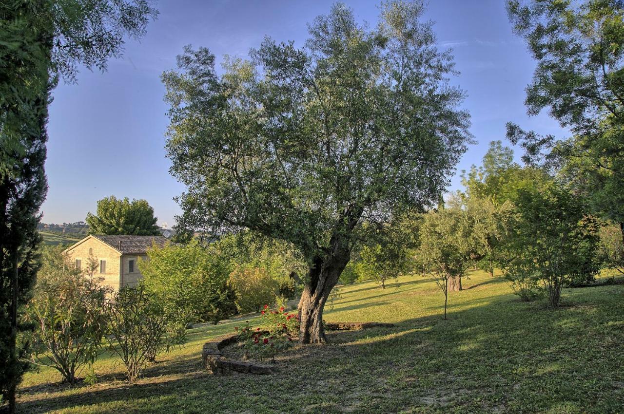 Grande Villa Storica Per Vacanze Con Giardino Privato E Piscina Ostra エクステリア 写真