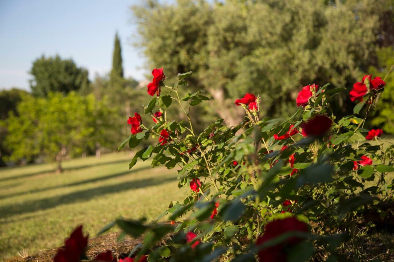 Grande Villa Storica Per Vacanze Con Giardino Privato E Piscina Ostra エクステリア 写真